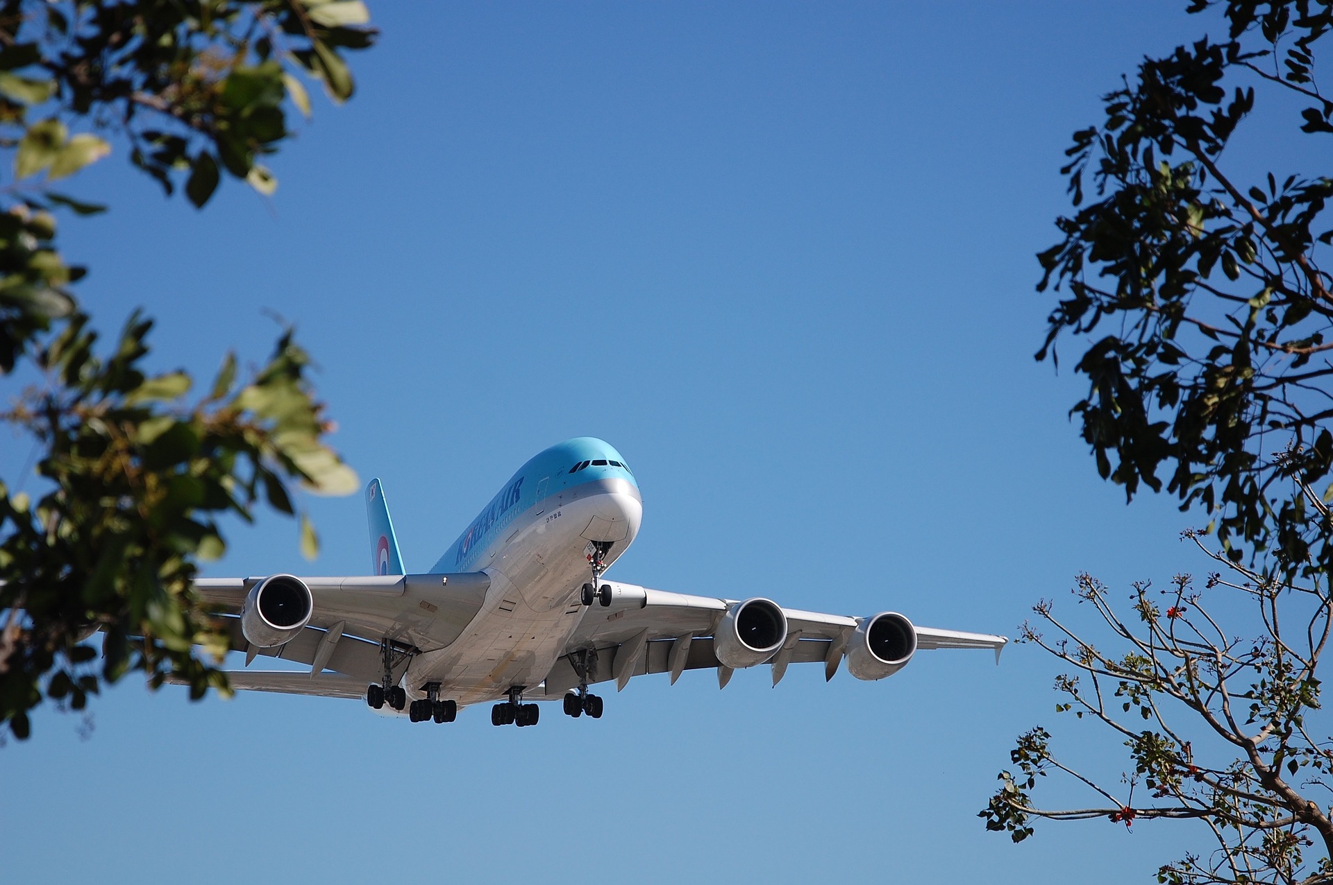 Aviación limpia y sostenible